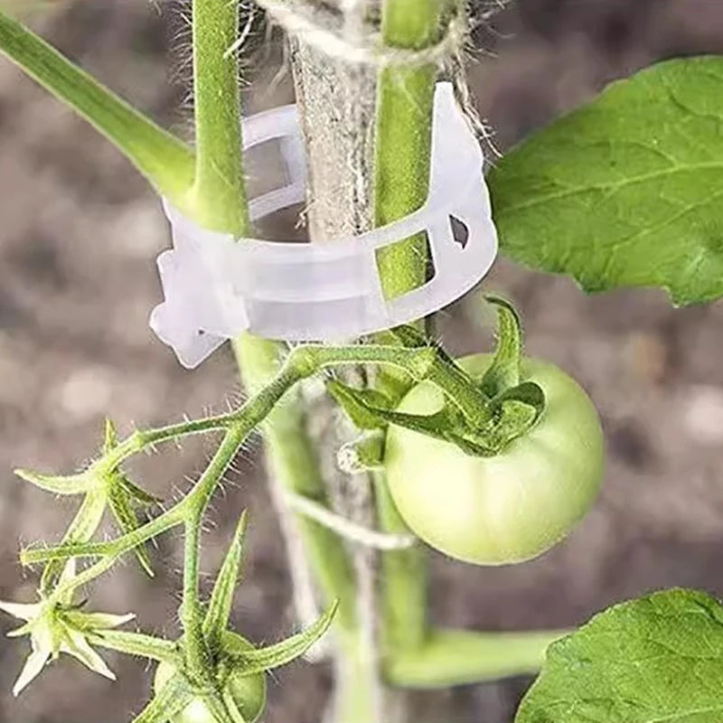 Vegetable Garden Support Clips