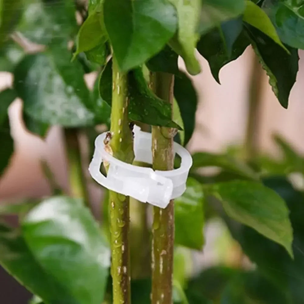 Vegetable Garden Support Clips