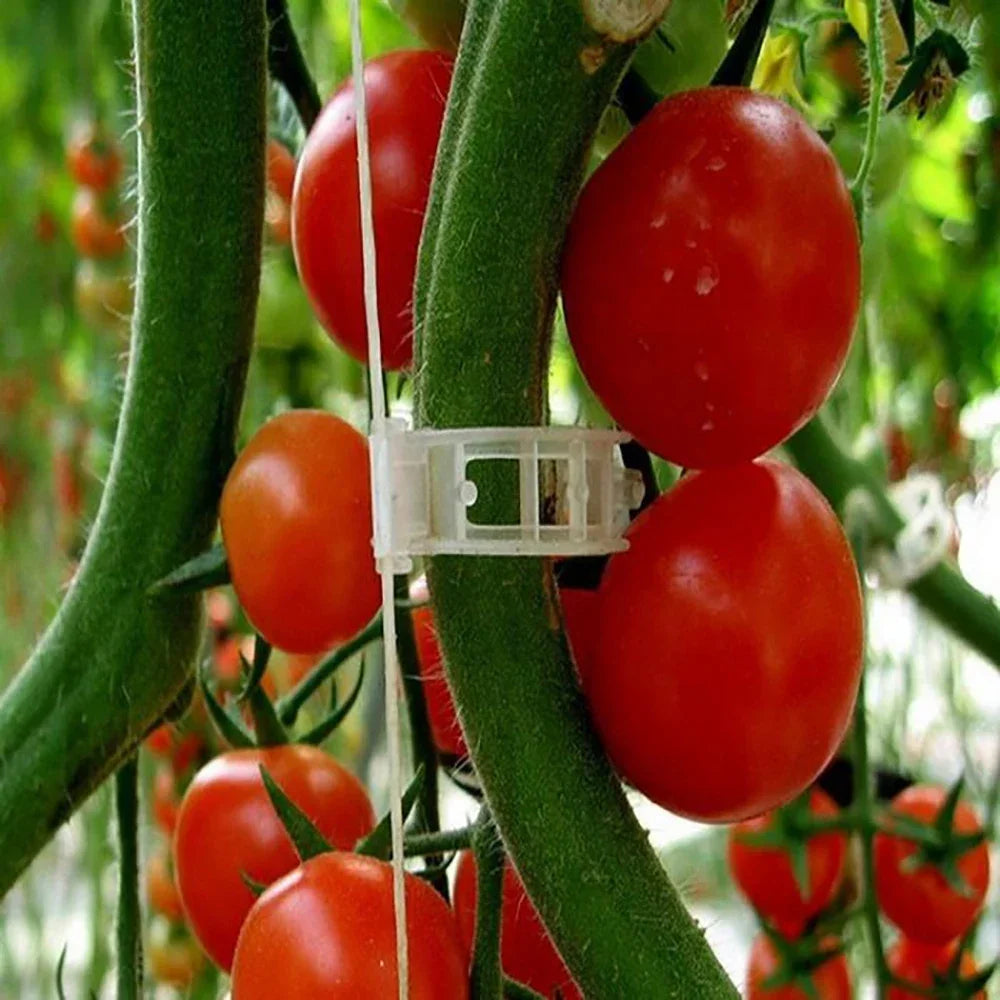 Vegetable Garden Support Clips